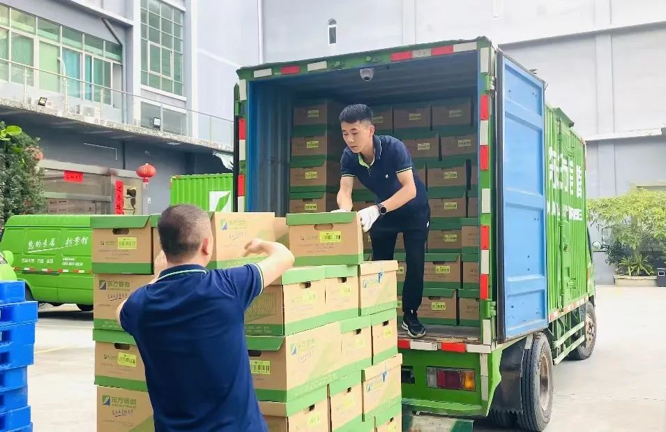 寄存档案,91视频破解版下载,档案调取配送